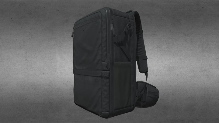 Tortuga Backpack 3D Model