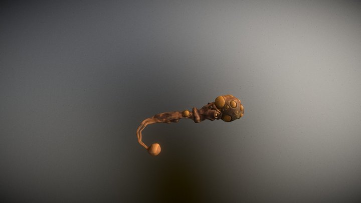 squid_1 3D Model