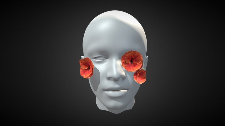 Enough For Me (Poppy Mask) 3D Model