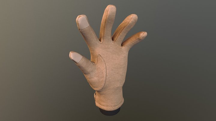 Woogwin Womens Lady Winter Glove 3D Model