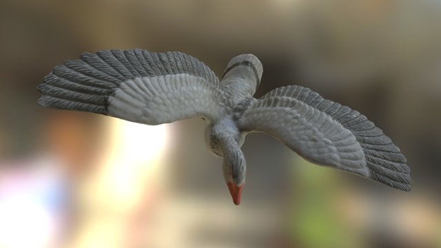 Oie 3D Model