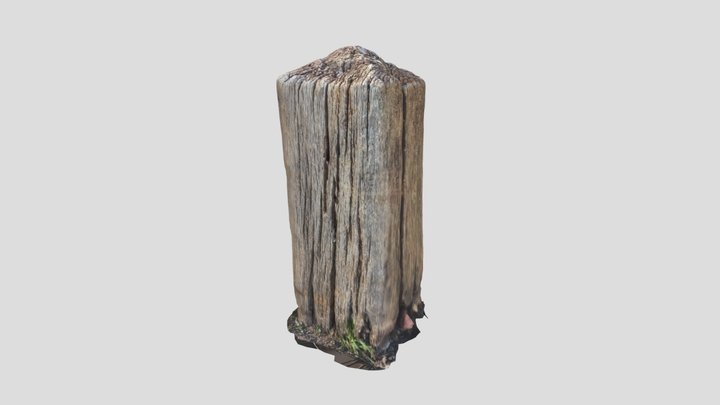 WOODEN POST SCANNED BY A CANAL 3D Model