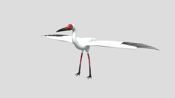 Crane Male 001 3D Model