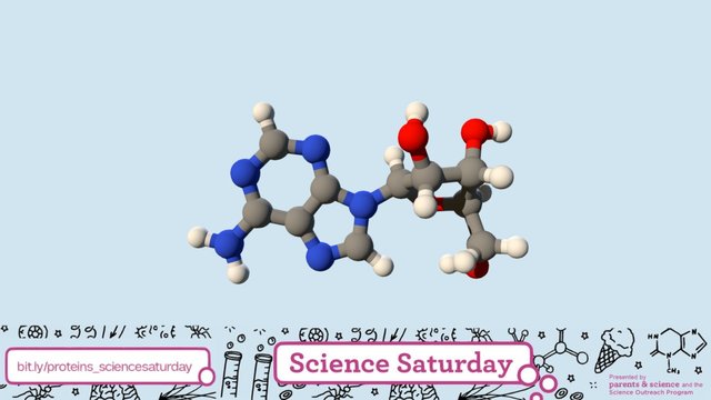 Small Molecule | Adenosine | PubChem CID 60961 3D Model