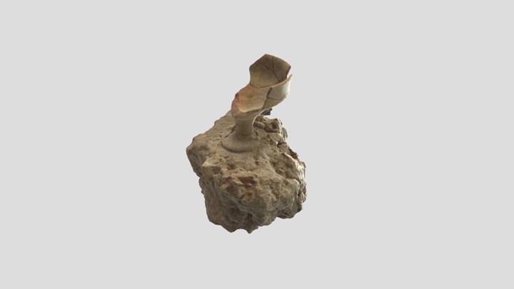 Ayios Vasileios, Laconia, Sector III, Kylix 3D Model