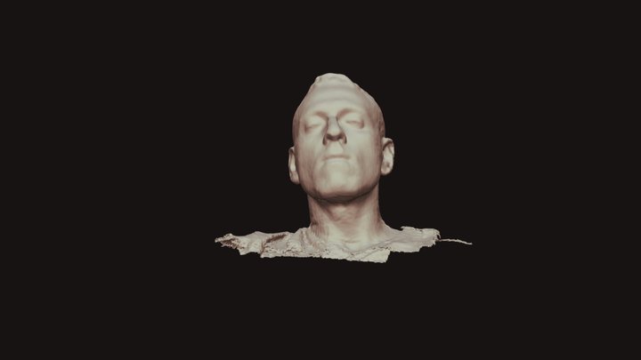Face 3D Model
