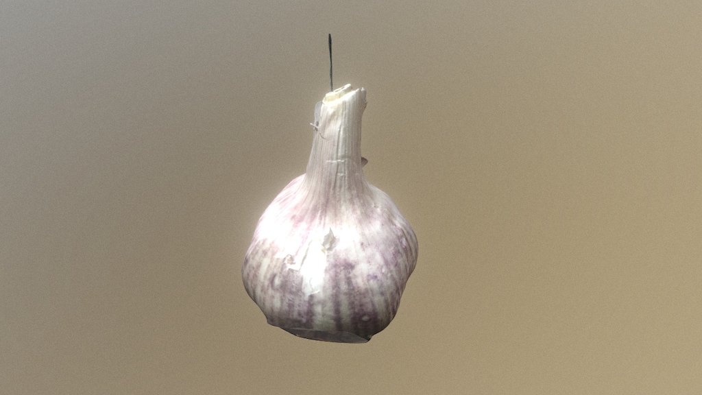 Op Garlic