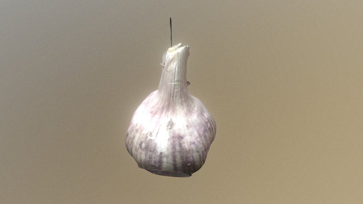 Op Garlic 3D Model