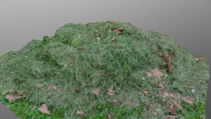Mown lawn cut grass heap 3D Model