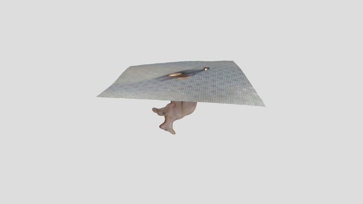 3D Model 3D Model