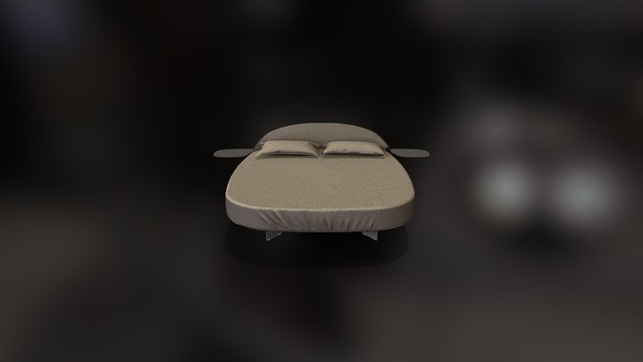 3 3D Model