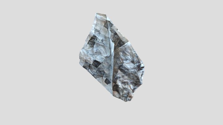 Nothing to Lose (2024) by Mattia Cuttini 3D Model