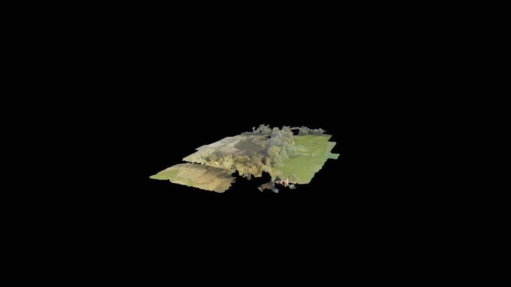 Mountsorrel Tree lines 3D Model