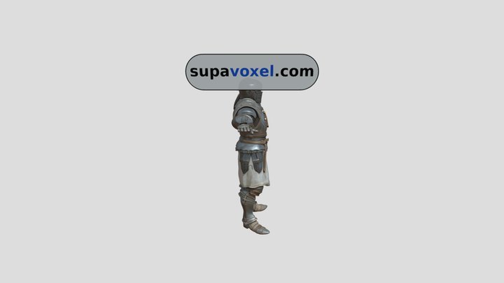 Crusader Knight T-Pose - Tripo AI 3D - SupaVoxel
