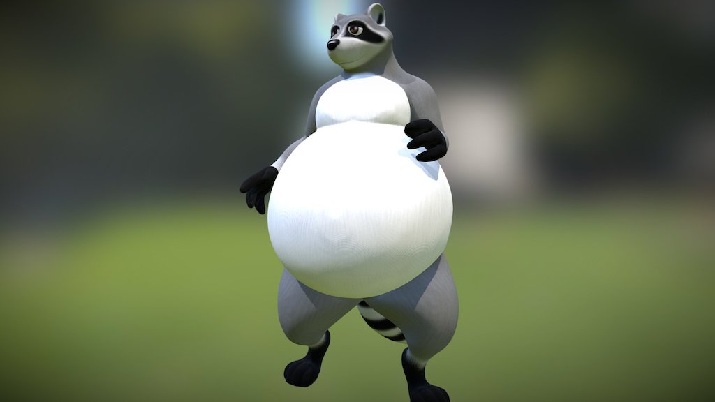 Fat Raccoon