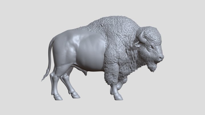 Bison 3D Model