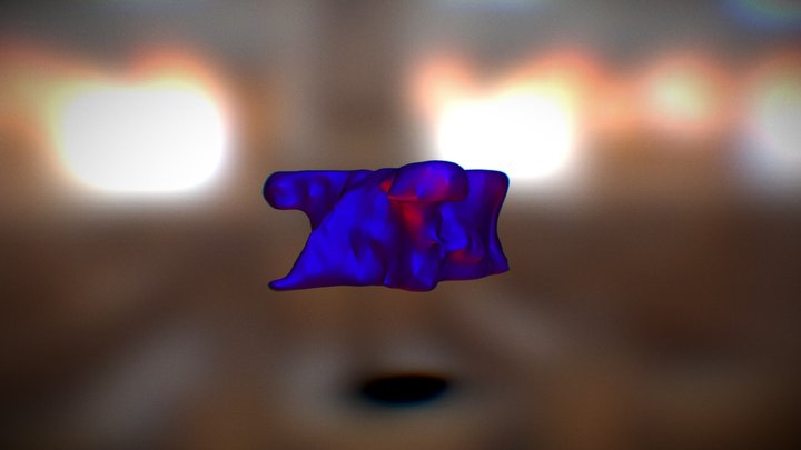 Thoracic Vertebrae 3D Model