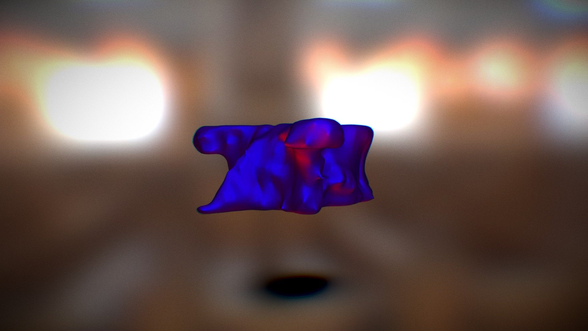 Thoracic Vertebrae