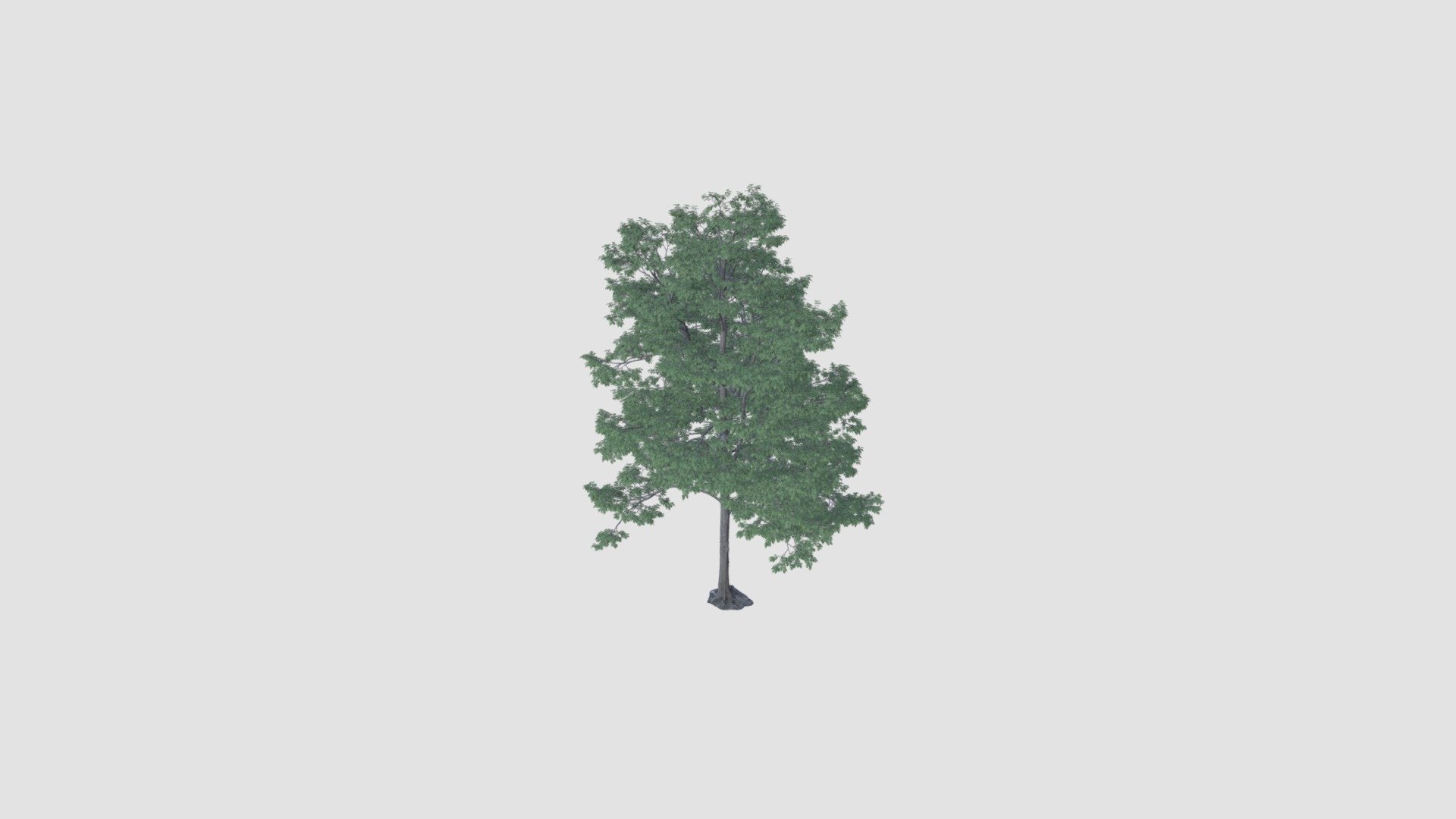 tree - Buy Royalty Free 3D model by Evermotion [a689abd] - Sketchfab Store