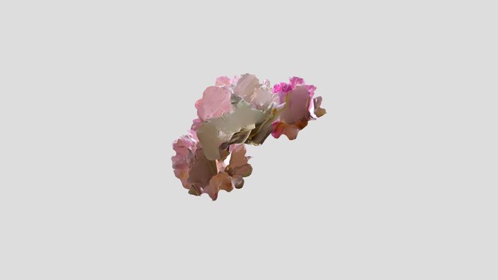Rhododendron pink Kiri with mask – Modèle 3D gratuit STL