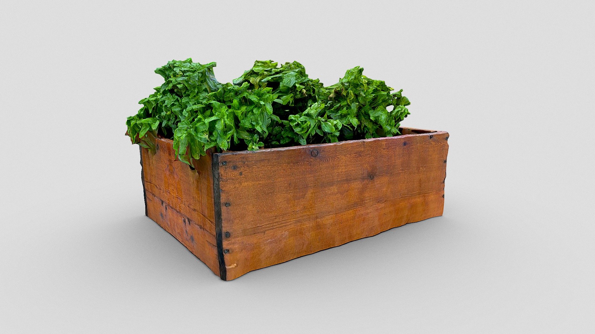 248: Raised Garden Box