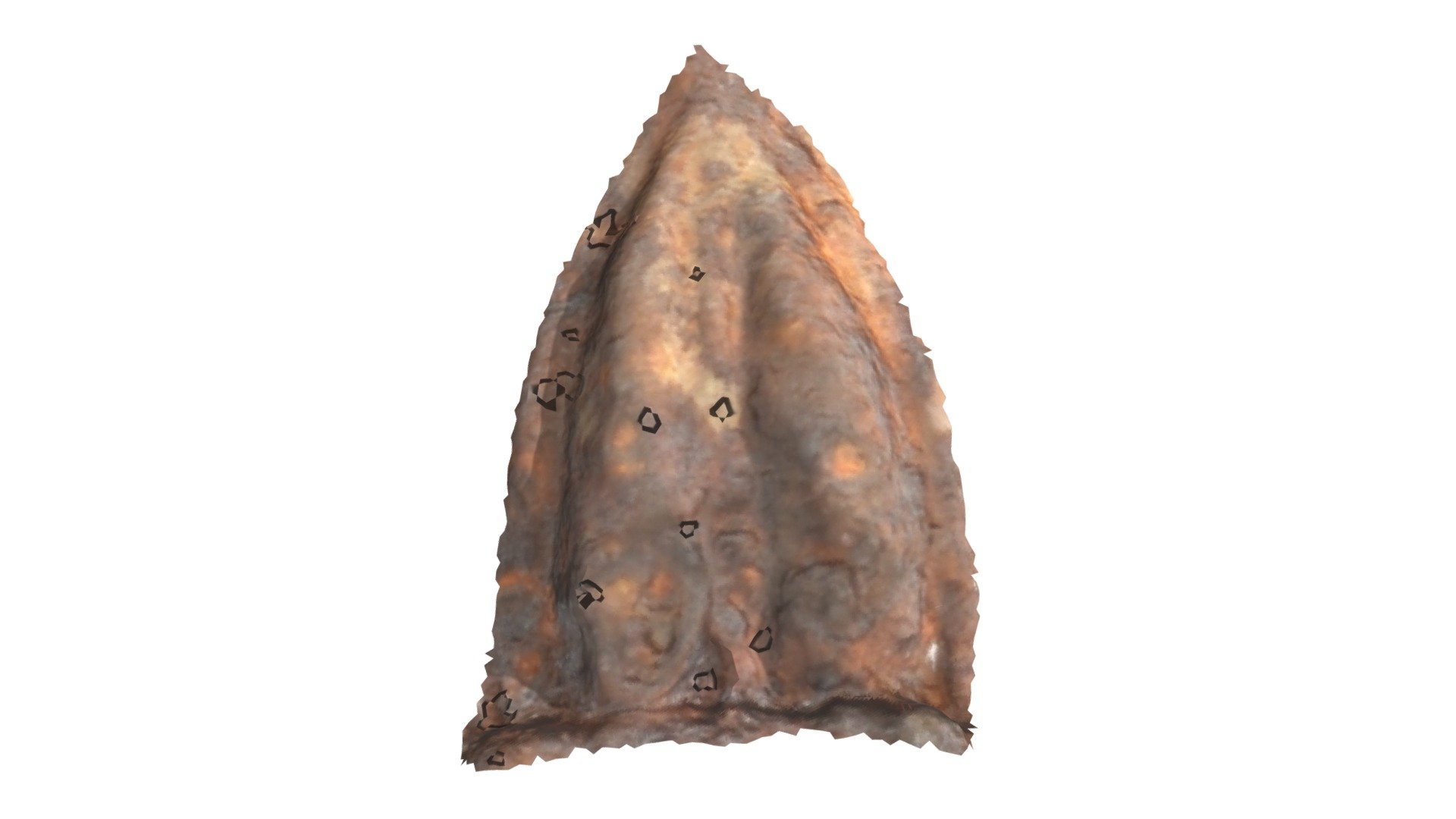C9 - aurochs MNIR