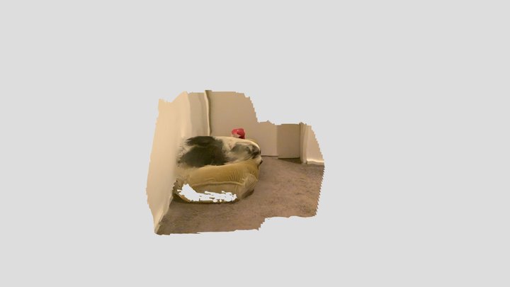Untitled Scan 3D Model