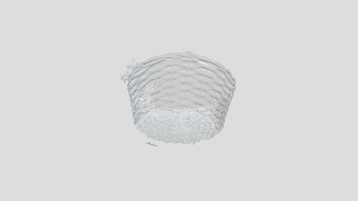 Cestino 3D Model