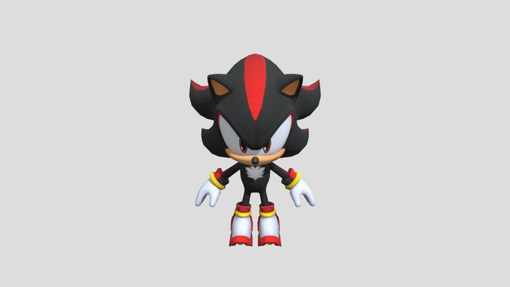 kartrider shadow the hedgehog