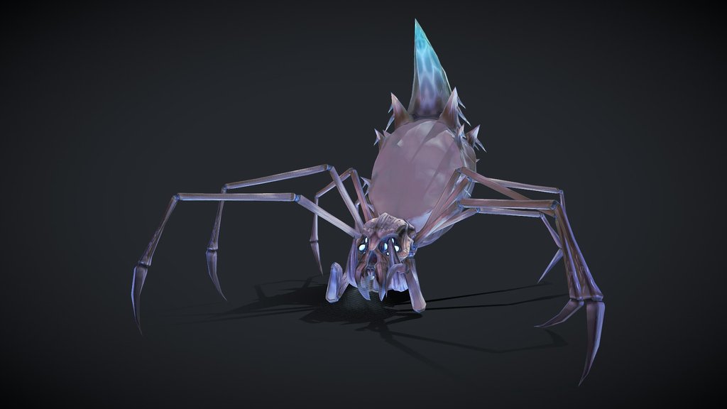 Spider Sketch