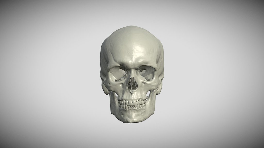 Full Skull