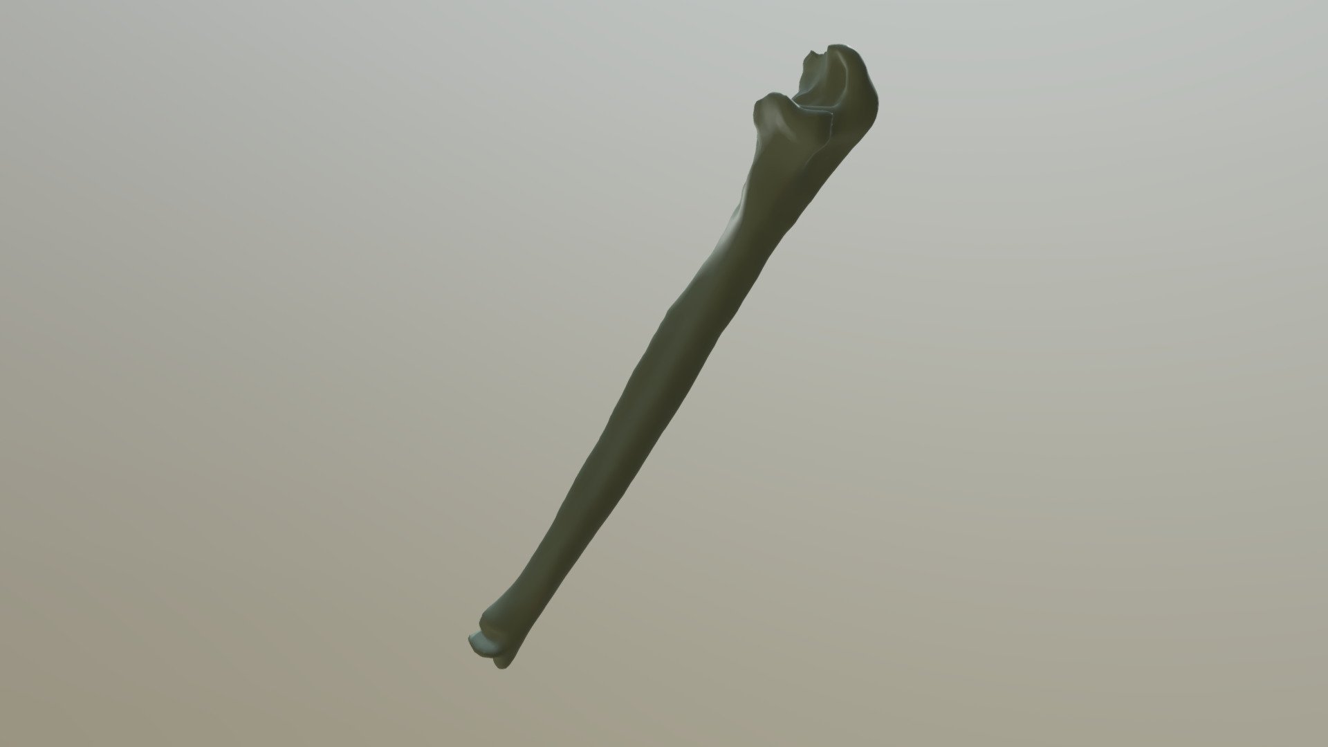 Ulna 9826F