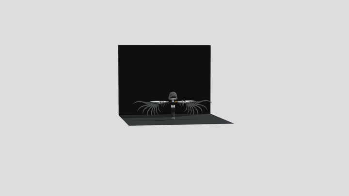 (V) 3D Model