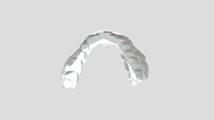 ткач Lower Jaw Scan 3D Model