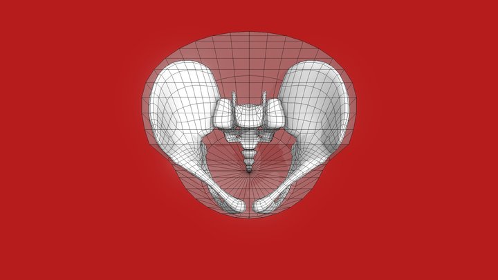 Self-use 3D Model