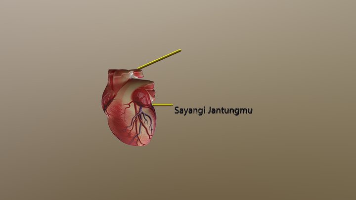 Jantung Dini 3D Model