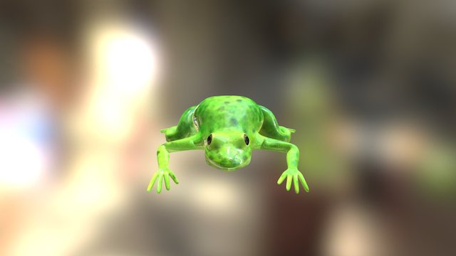 Frog No Animation Skech Fub 3D Model