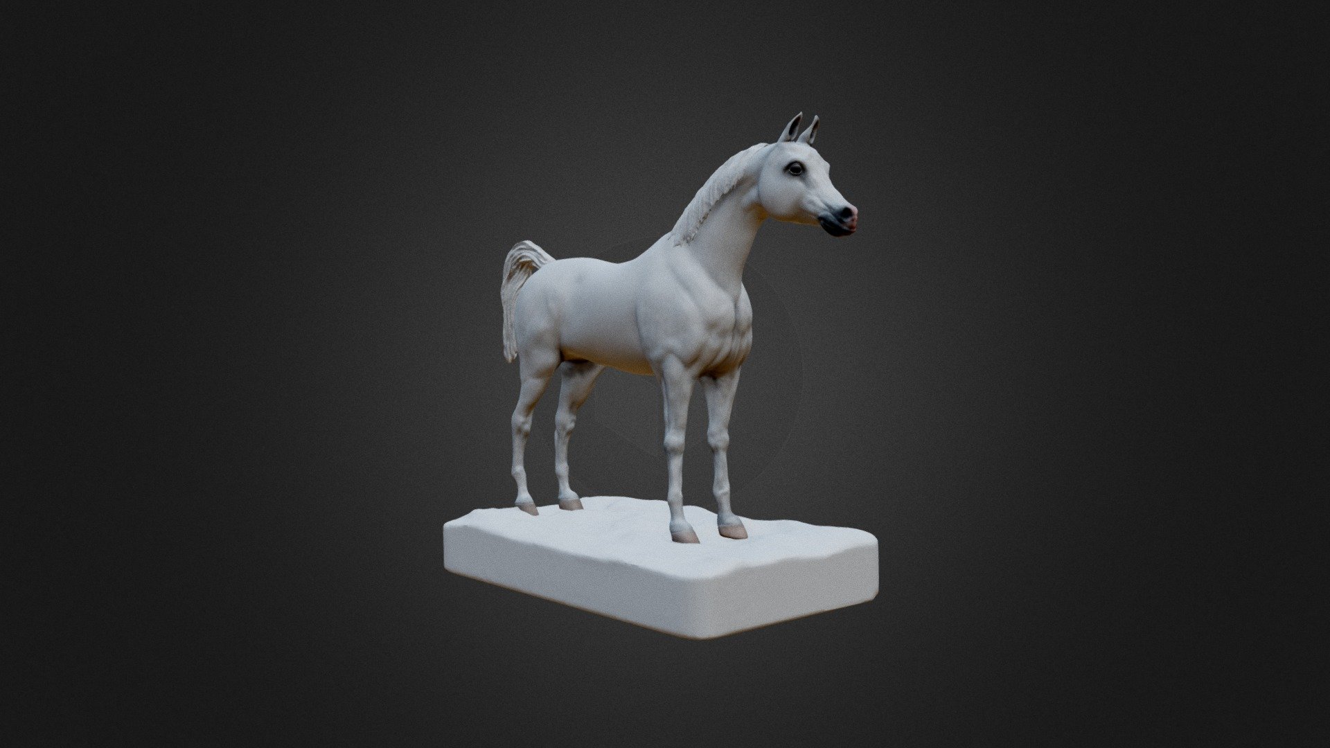 Arabian Horse