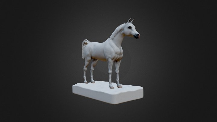 Arabian Horse 3D Model