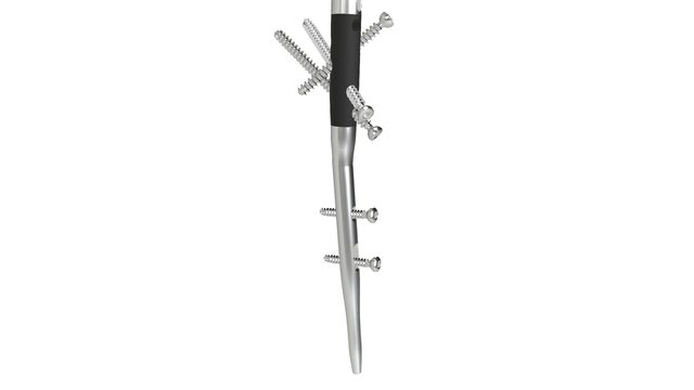 Diphos Nail 3D Model