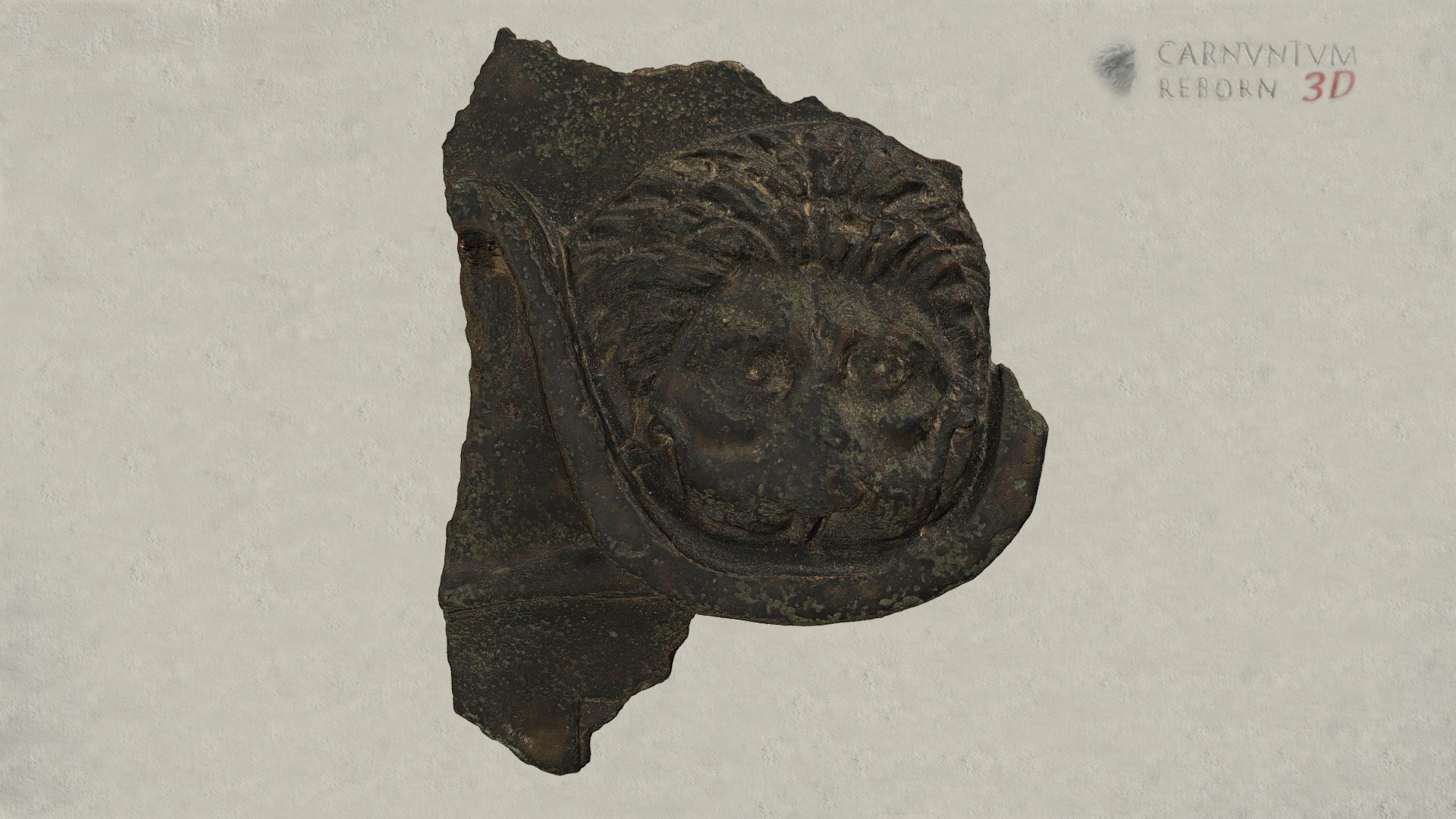 Pterygesfragment — Sketchfab embed 3D viewer