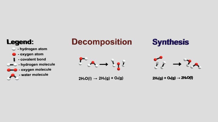 Molecular Models of Decomposition and Synthesis 3D Model