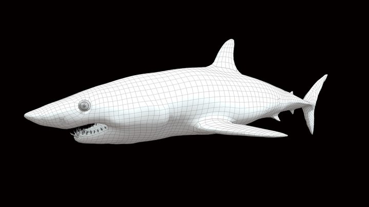 Model 62B - Shortfin Mako Mesh