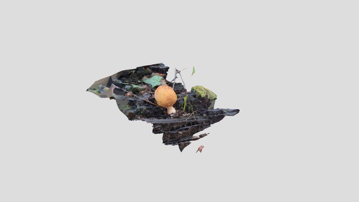 Pear Shaped puffball – Modello 3D gratuito STL