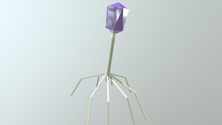 bacteriophage 3D Model