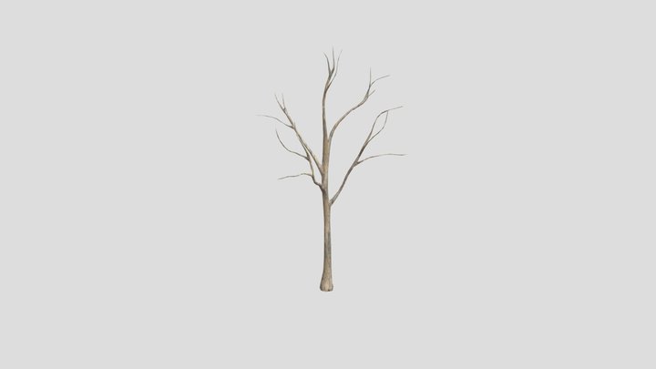 Trun-low-poly-010 3D Model