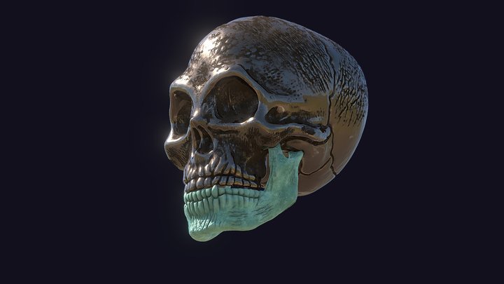 Skull Head 3D Model
