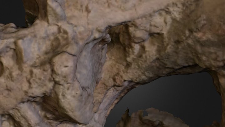 Dinosaur Xinjiangtitan Photogrammetry April 2012 3D Model
