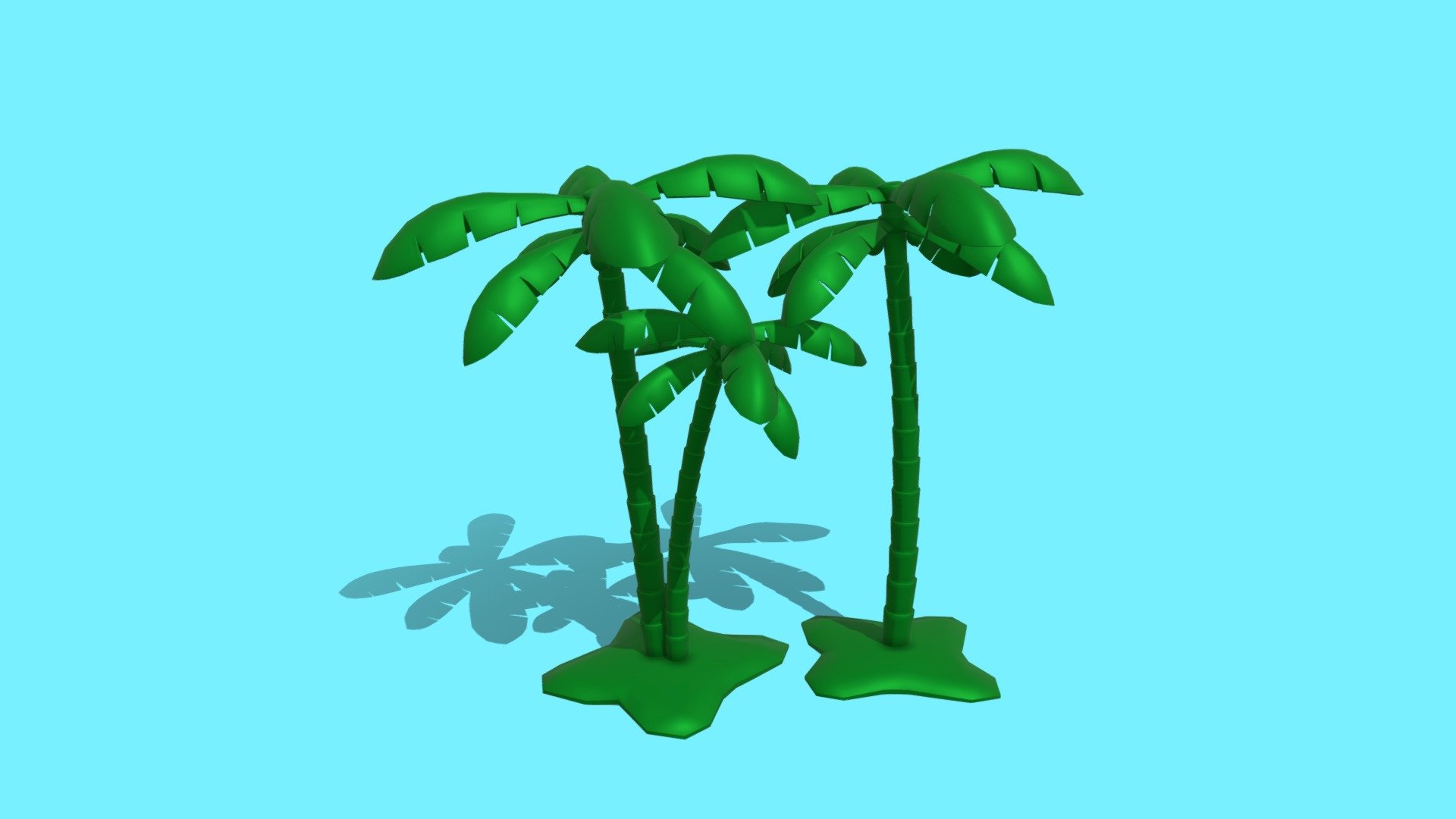 palm tree
