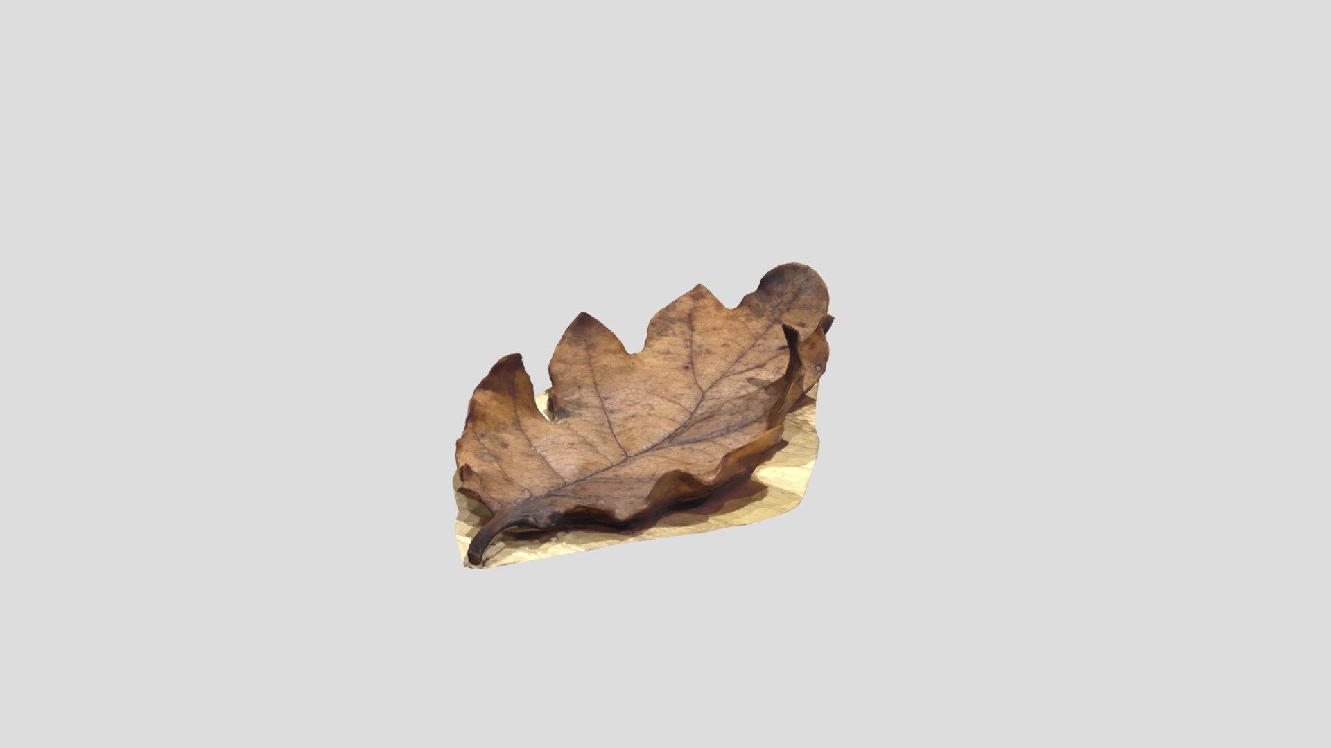Leaf4
